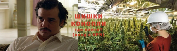 метадон Козловка
