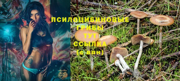 первитин Козельск