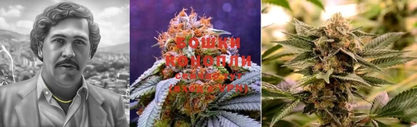 метадон Козловка
