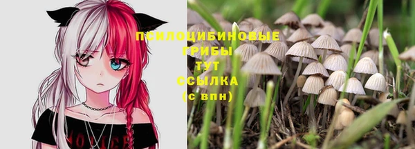 первитин Козельск